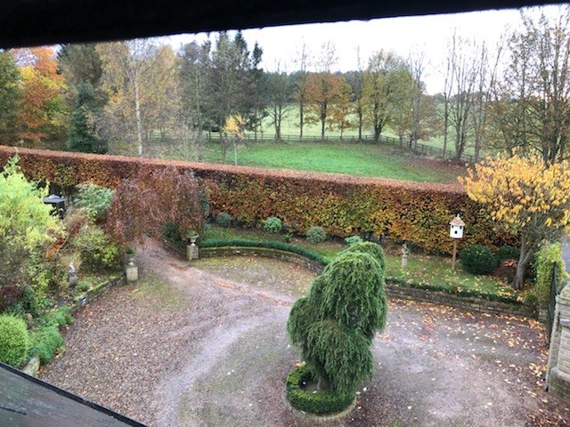 Hedge trimming and maintenance by Apex Landscapes