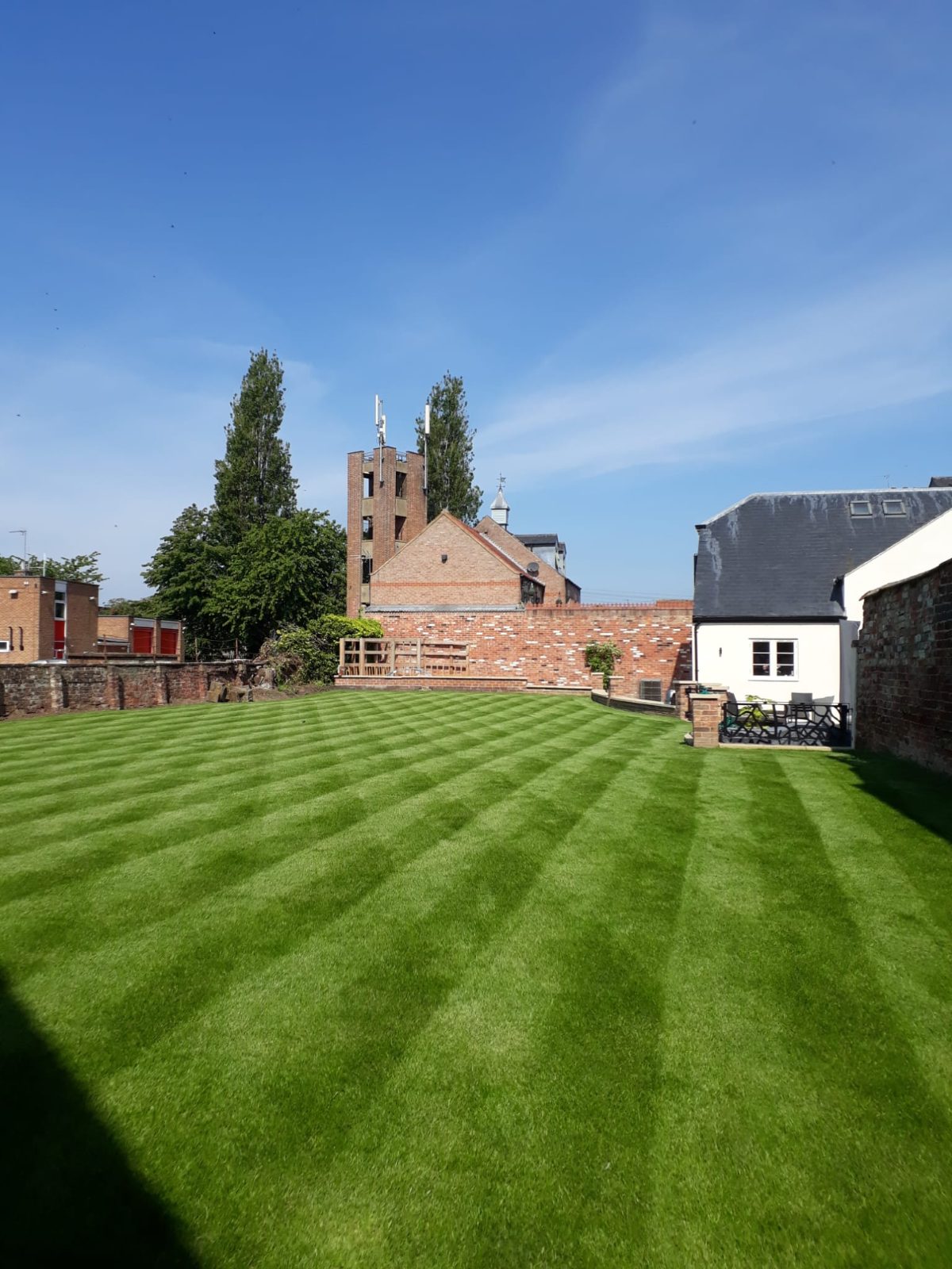 Newly laid striped lawn in a walled Leeds garden by Apex Landscapes