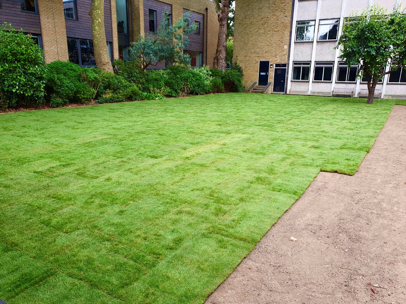 Large commercial lawn area newly turfed by Apex Landscapes
