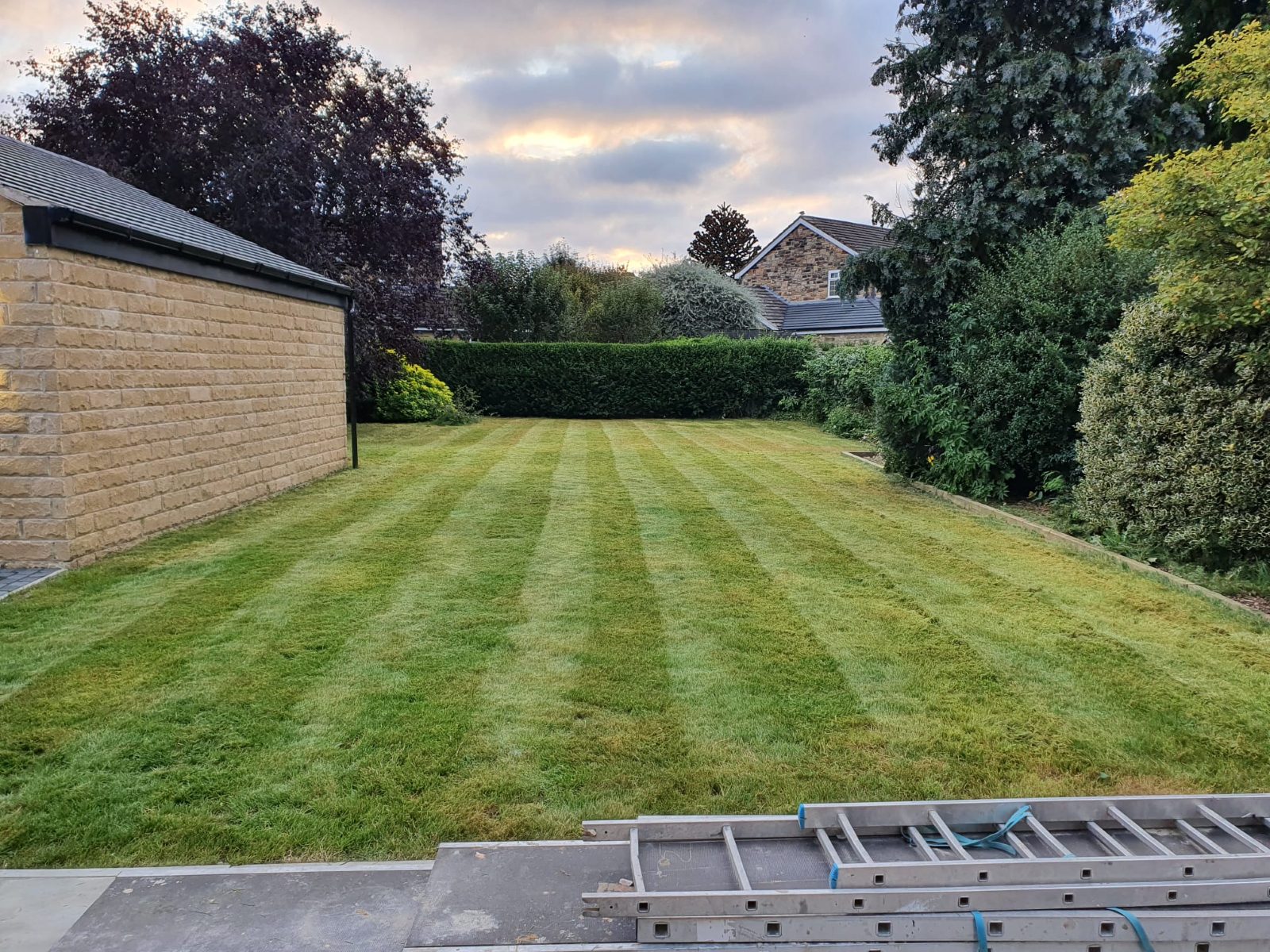 New lawn laid up to a mature hedge line