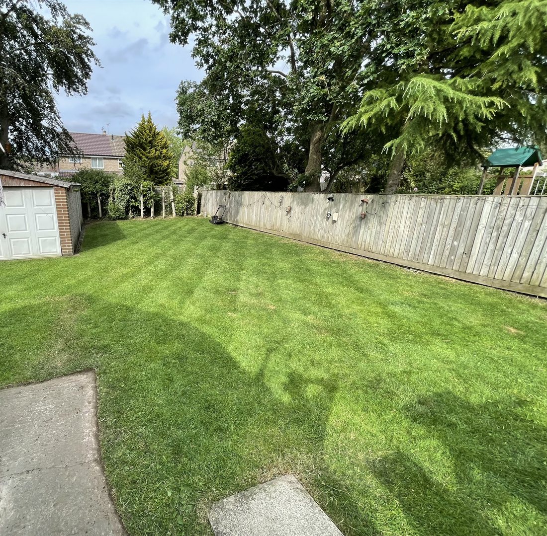 Lawn care and maintenance in progress