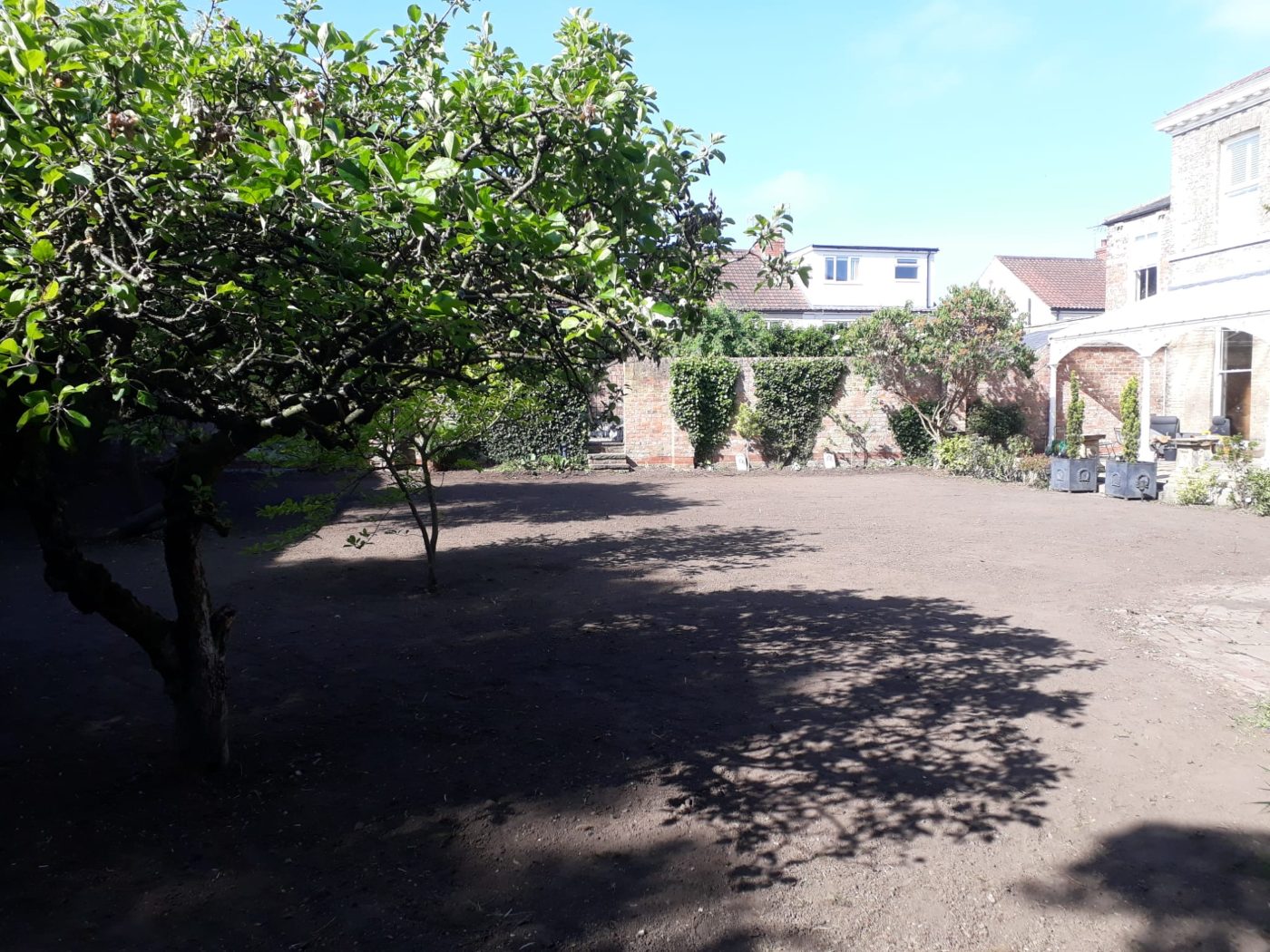 Fine, firm, level seedbed prepared ready for turf under a garden tree