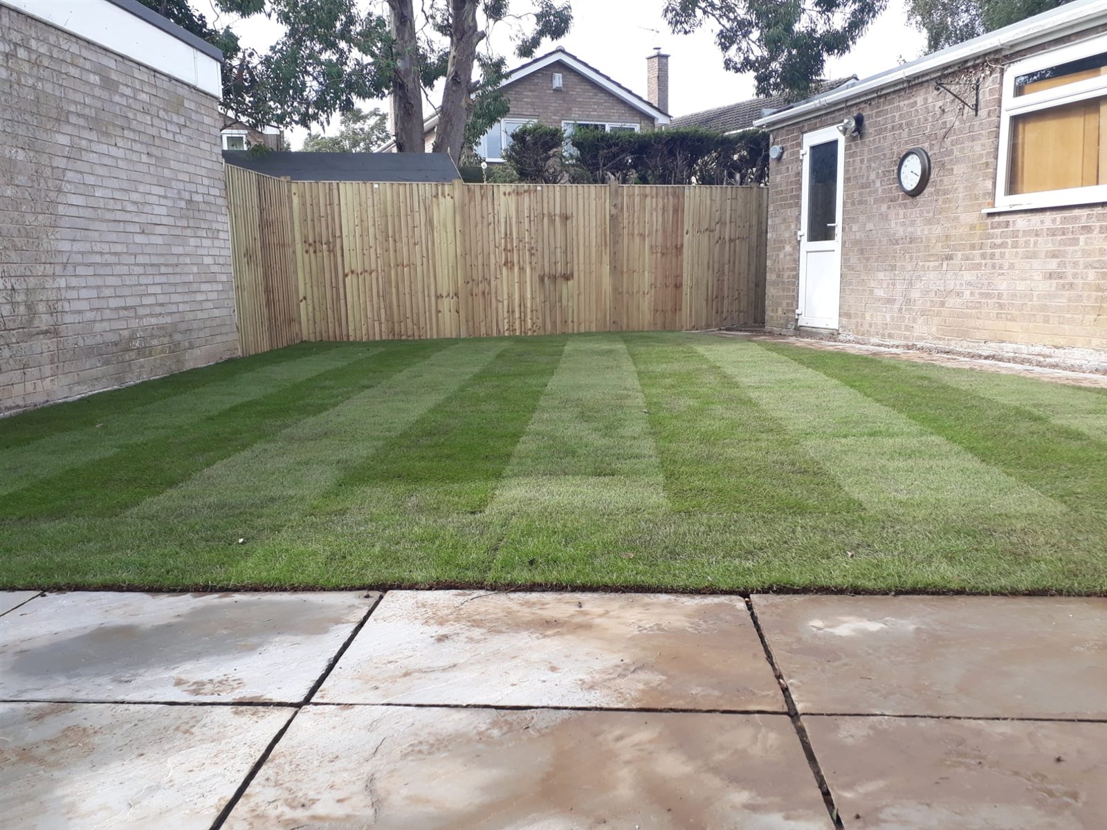 Freshly laid turf installation by Apex Landscapes