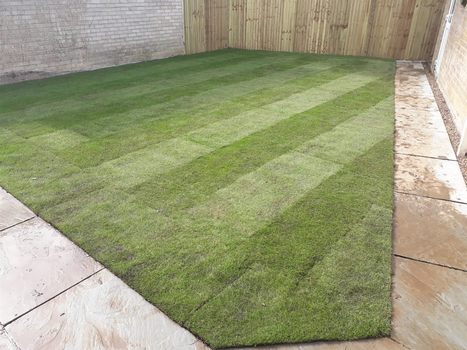 Freshly laid turf installation by Apex Landscapes