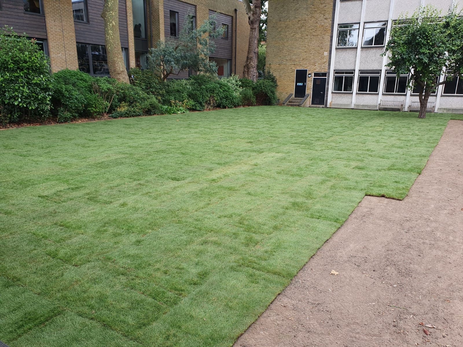 Freshly laid turf installation by Apex Landscapes
