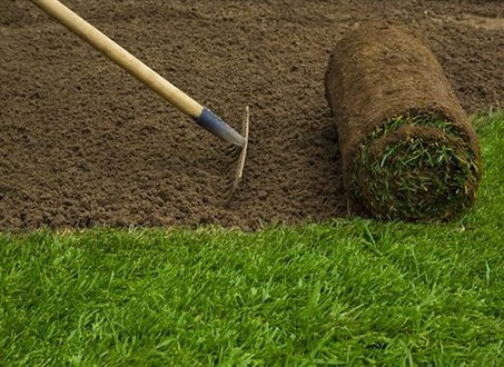 Roll of fresh turf being laid onto prepared ground